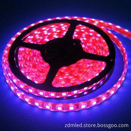 120LED/m 3528 Colorful Party Light String